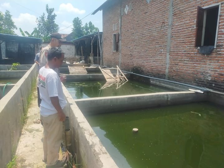 Bhabinkamtibmas Dukung Ketahanan Pangan Lewat Budidaya Ikan