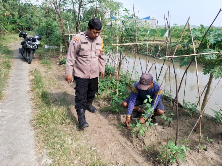 Polisi Turun ke Lahan, Dampingi Petani Wujudkan Ketahanan Pangan di Desa Rejeni