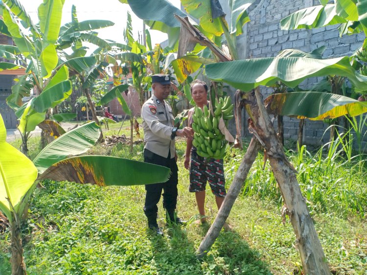 Polresta Sidoarjo Dukung Budidaya Pisang Warga Wonocolo Demi Ketahanan Pangan