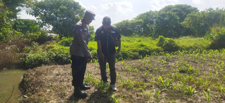 Kapolresta Sidoarjo Dorong Swasembada Pangan Lewat Budidaya Jagung
