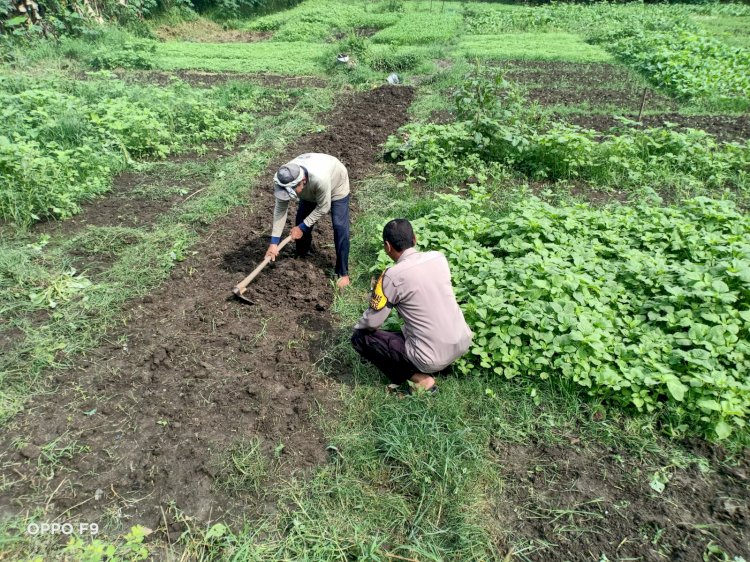 Bhabinkamtibmas Tinjau Lahan Sayur, Dorong Swasembada Pangan Warga Sidoarjo