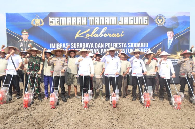 Imigrasi Surabaya dan Polresta Sidoarjo Kolaborasi Dukung Ketahanan Pangan Melalui Semarak Tanam Jagung