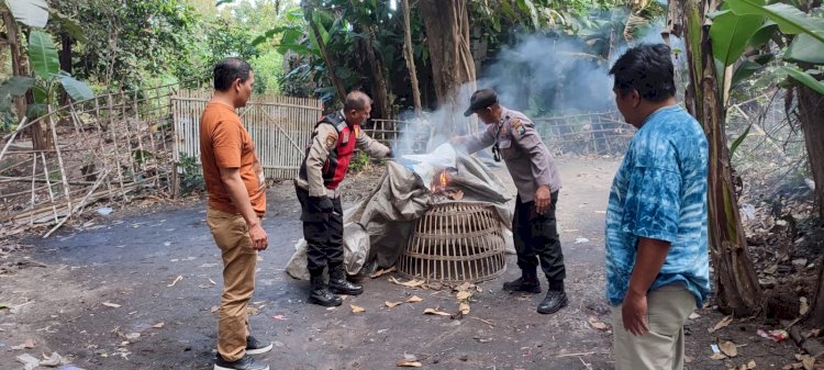 Polsek Balongbendo Tindaklanjuti Aduan Warga, Datangi Arena Judi Sabung Ayam di Seketi