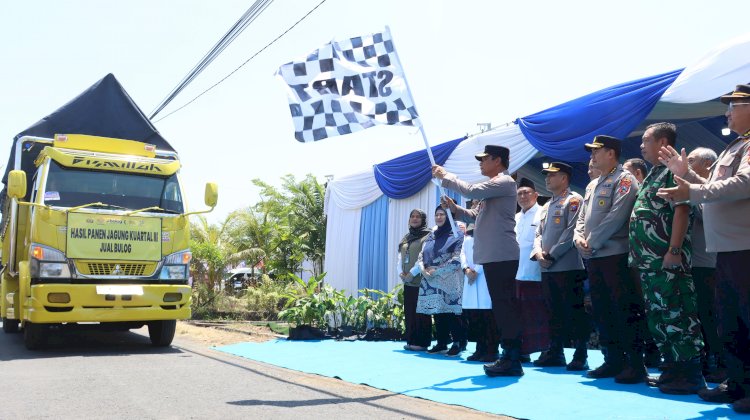 Kapolda Jatim dan Forkopimda Panen Raya Jagung Kuartal III Banyuwangi Surplus Pangan 4 kali Lipat