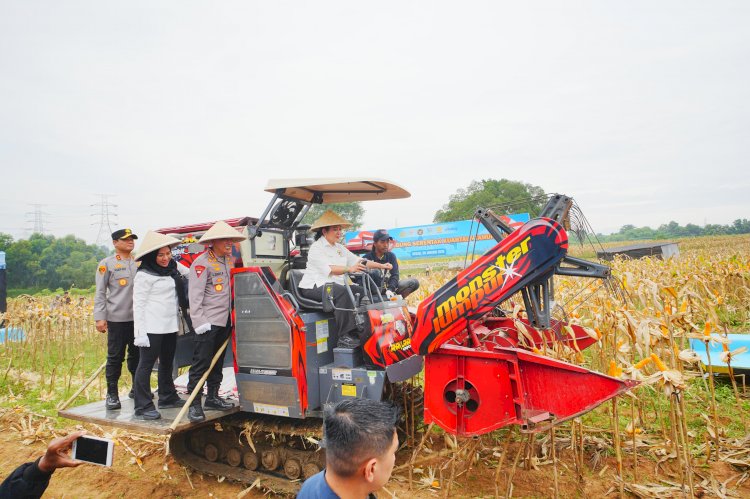 Kapolri-Ketua Komisi IV Pimpin Panen Raya Jagung Serentak, Wujud Nyata Dukung Ketahanan Pangan Nasional